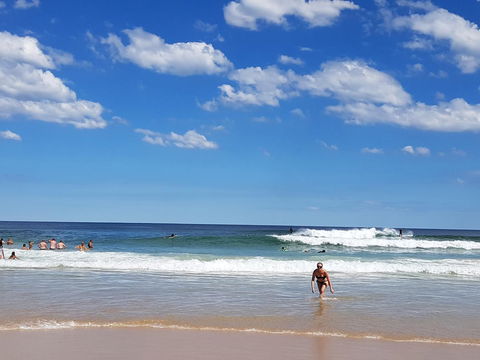Arena Luxury Beachfront Apartment - Accommodation Gladstone 3