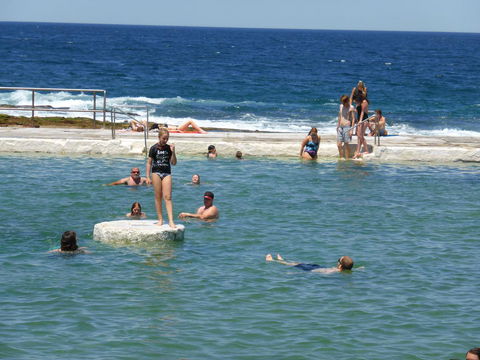 Arena Luxury Beachfront Apartment - Accommodation Gladstone 33