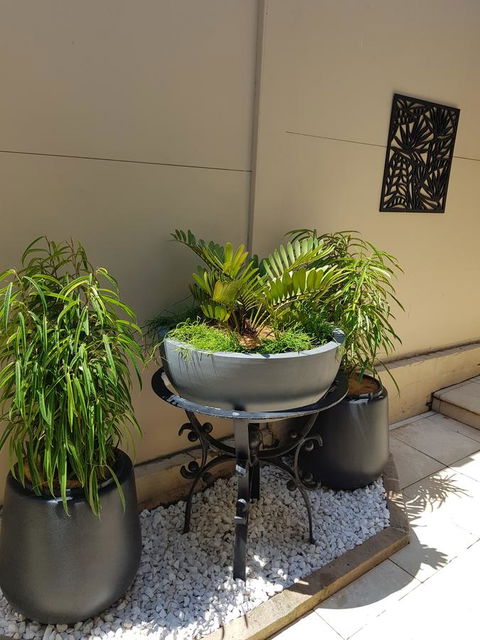 Private Room - Luxury Mosman Home - Accommodation Gladstone 33