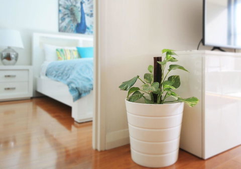 Sydney Apartment Close To Airport & CBD - Accommodation Gladstone 7