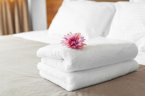 Luxury Home Hotel Next To Darling Harbour - Accommodation Gladstone 15