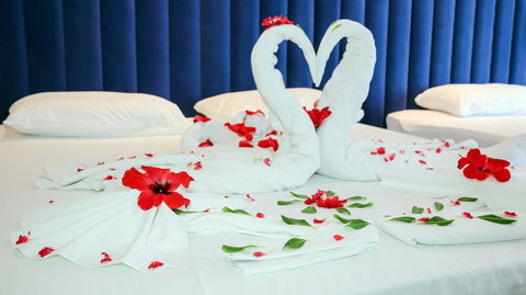 Luxury Home Hotel Next To Darling Harbour - Accommodation Gladstone 16