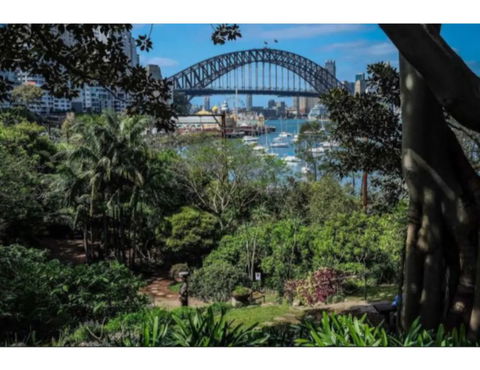 North Sydney Historic Whalers Cottage - Accommodation Gladstone 12