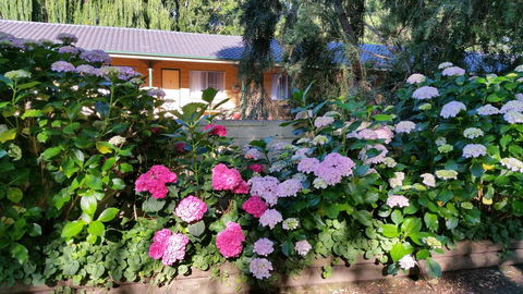 Moruya Motel - Accommodation Gladstone 28
