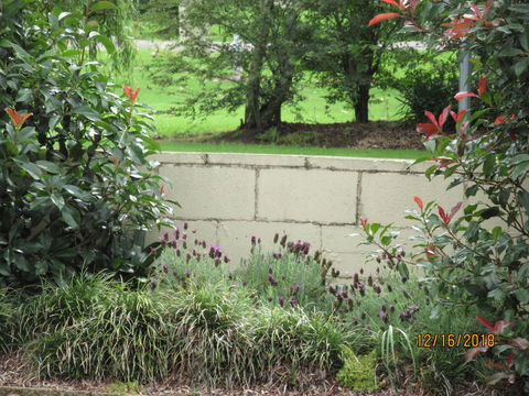 Moruya Motel - Accommodation Gladstone 16