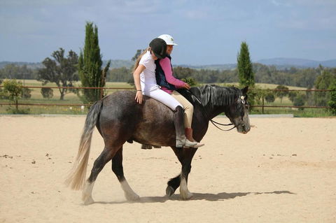 Belisi Farmstay Cottage - Accommodation Gladstone 28