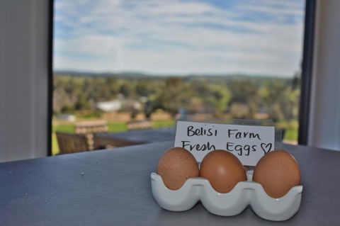 Belisi Farmstay Cottage - Accommodation Gladstone 20