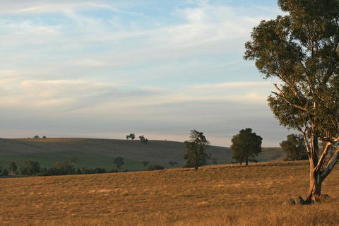 Belisi Farmstay Cottage - Accommodation Gladstone 33