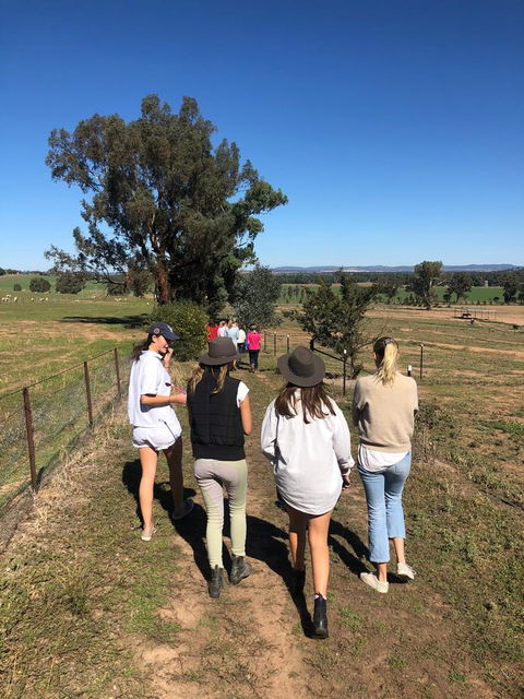 Belisi Farmstay Cottage - Accommodation Gladstone 7