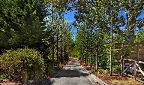 Bundanoon Lodge - Accommodation Gladstone 21