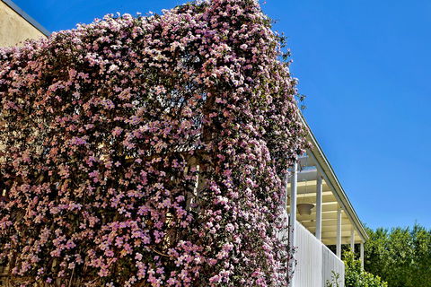 Bundanoon Lodge - Accommodation Gladstone 13