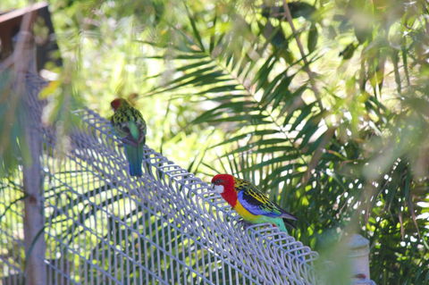 Marty's @ Little Beach - Accommodation Gladstone 27