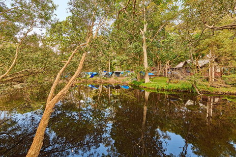 Arts Factory By Nomads - Accommodation Gladstone 12
