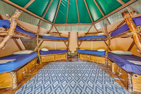 Arts Factory By Nomads - Accommodation Gladstone 4