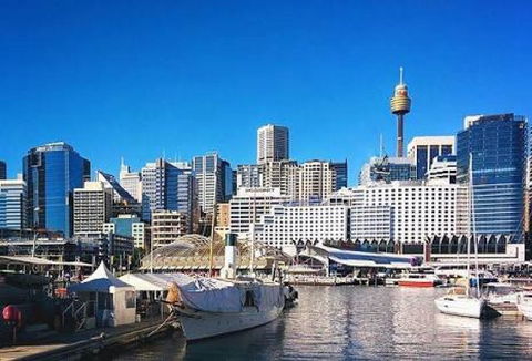 Sydney Star Terrace - Accommodation Gladstone 4