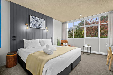 City Centre Motel Armidale - Accommodation Gladstone 8