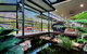 'Tropical Oasis - Darwin NT - thumb 4
