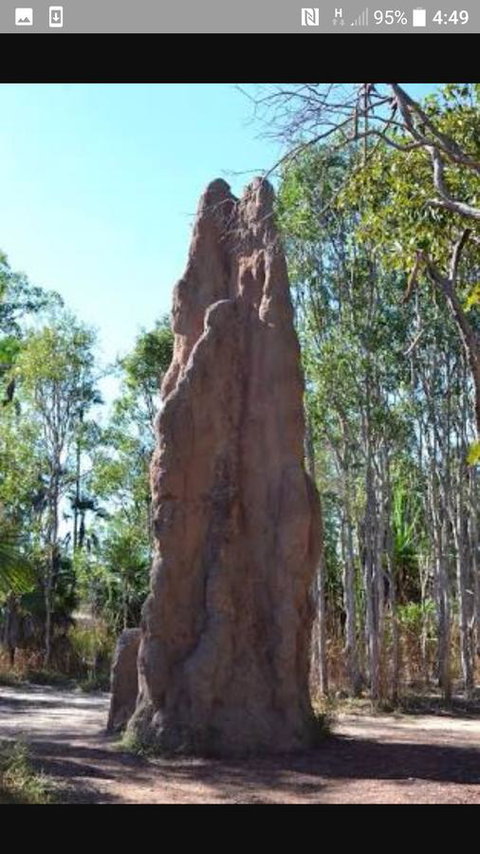 'Tropical Oasis - Darwin NT - Accommodation Gladstone 31