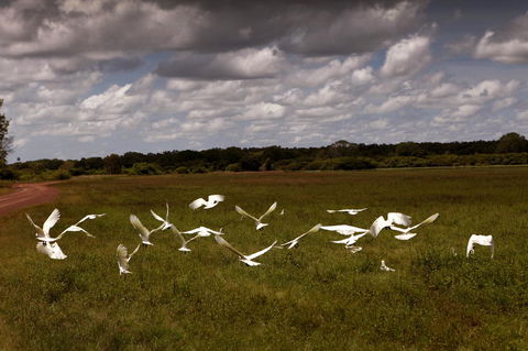 Wildman Wilderness Lodge - Accommodation Gladstone 20