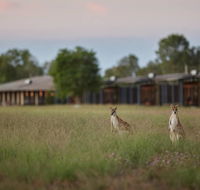Wildman Wilderness Lodge - Accommodation Gladstone