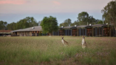 Wildman Wilderness Lodge - Accommodation Gladstone 0