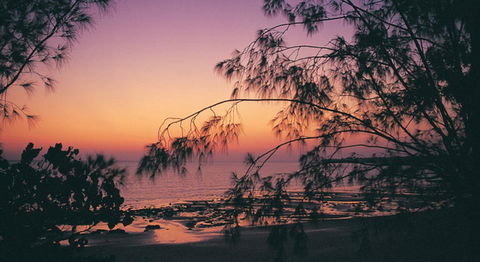 Darwin Beach Escape Holiday Home - Accommodation Gladstone 25
