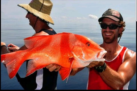 Darwin Beach Escape Holiday Home - Accommodation Gladstone 39