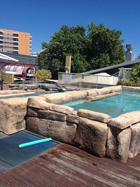 Melaleuca On Mitchell - Darwin YHA - Accommodation Gladstone 30