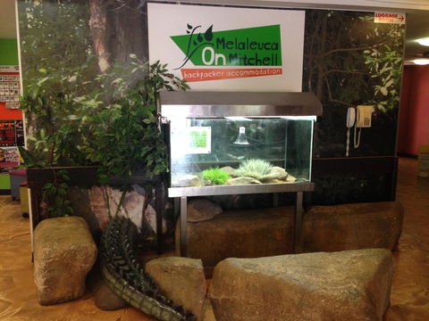 Melaleuca On Mitchell - Darwin YHA - Accommodation Gladstone 32