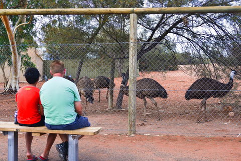 Erldunda Desert Oaks Resort - Accommodation Gladstone 21