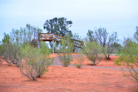 Erldunda Desert Oaks Resort - Accommodation Gladstone 42