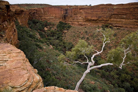 Kings Creek Station - Accommodation Gladstone 15