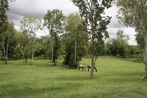 Mount Bundy Station - Accommodation Gladstone 25