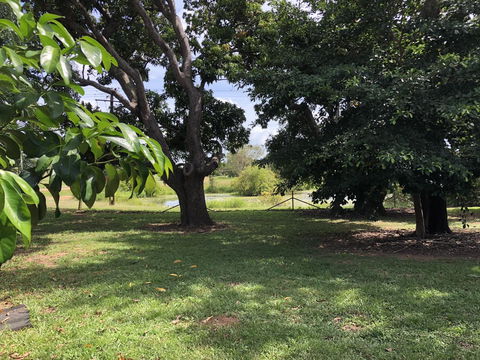 Mount Bundy Station - Accommodation Gladstone 4