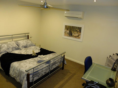 Rock Wallaby - Accommodation Gladstone 9