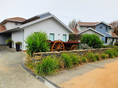 Rock Wallaby - Accommodation Gladstone 5