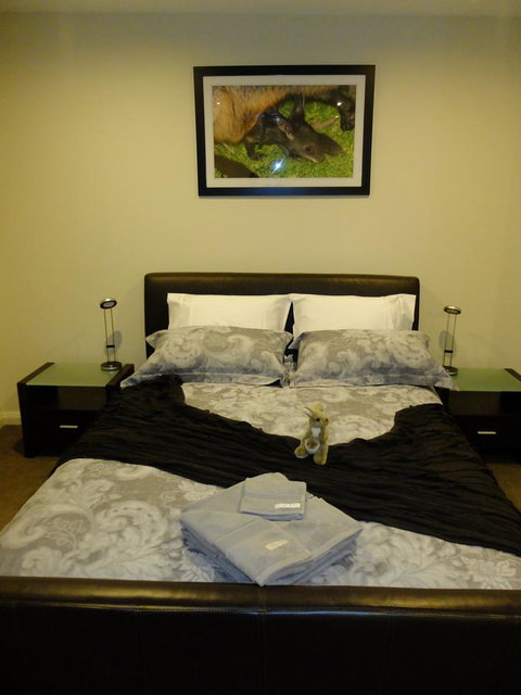 Rock Wallaby - Accommodation Gladstone 18
