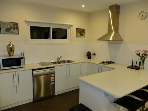 Rock Wallaby - Accommodation Gladstone 12