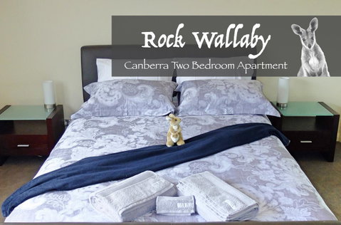 Rock Wallaby - Accommodation Gladstone 4