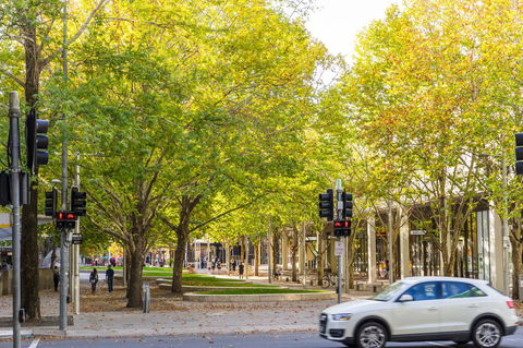 Highgate Executive Apartment City Walk Canberra - Accommodation Gladstone 37