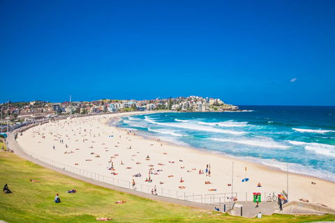 Bondi Beach Studio King Suite 1 - Accommodation Gladstone 1