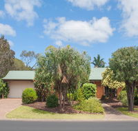 Bottlebrush - Accommodation Gladstone