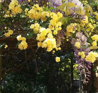 Bowral Road Bed and Breakfast - Accommodation Gladstone