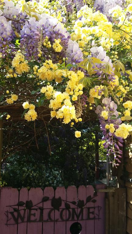 Bowral Road Bed And Breakfast - Accommodation Gladstone 0