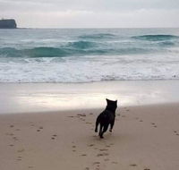 Breakers at Mudjimba Beach - Accommodation Gladstone