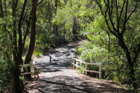 Brookside, Margaret River - Accommodation Gladstone 1