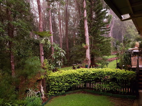 Buderim Forest Hideaway - Accommodation Gladstone 2