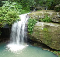 Buderim Forest Hideaway - Accommodation Gladstone