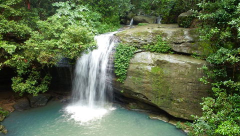 Buderim Forest Hideaway - Accommodation Gladstone 0