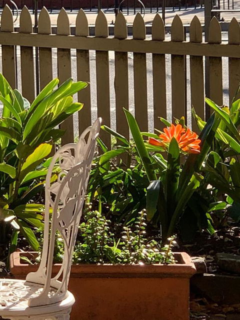 Burwood Bed And Breakfast - Accommodation Gladstone 3
